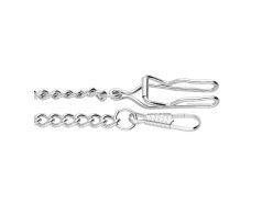 CH03.SILVER.5