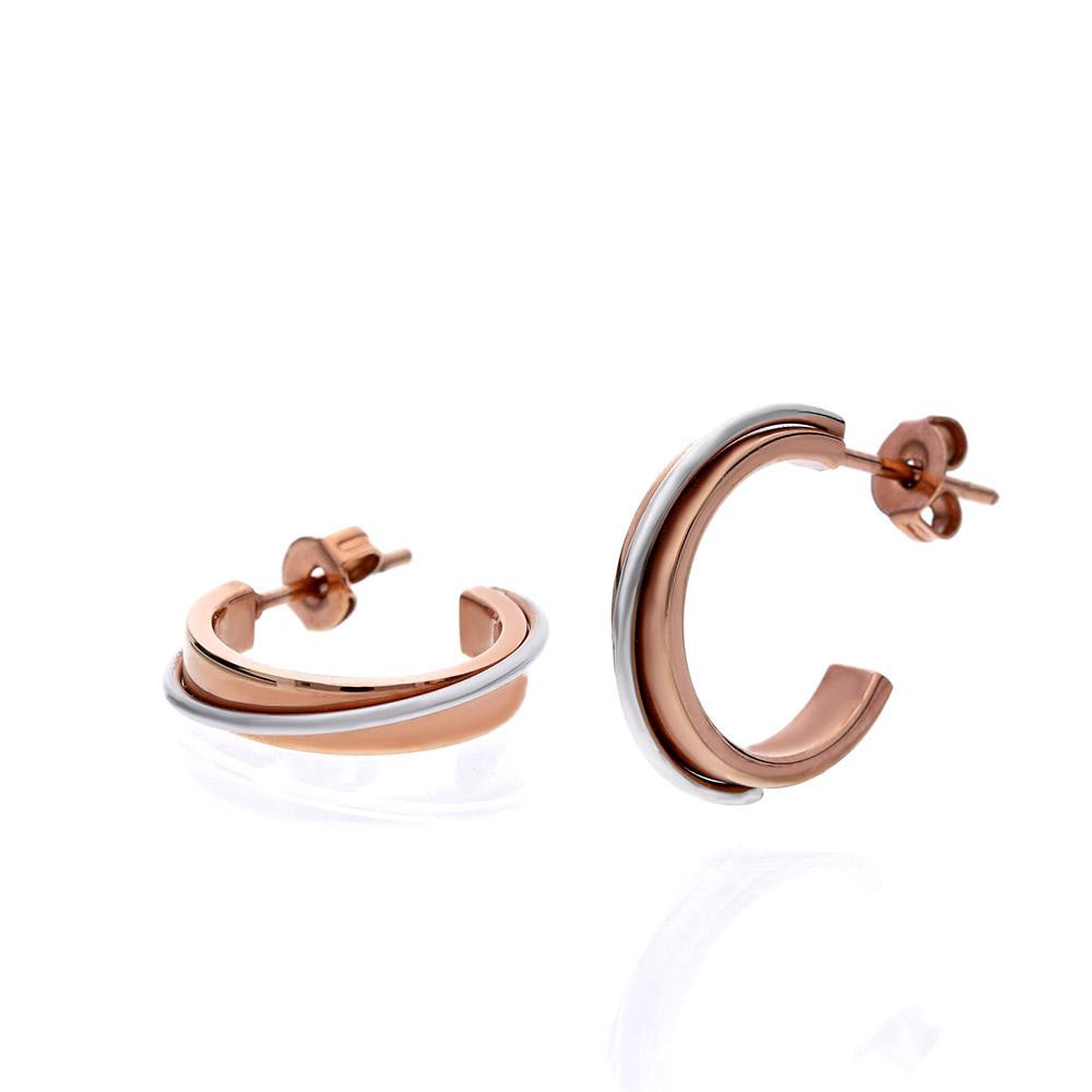 Earrings 70020, bicolor