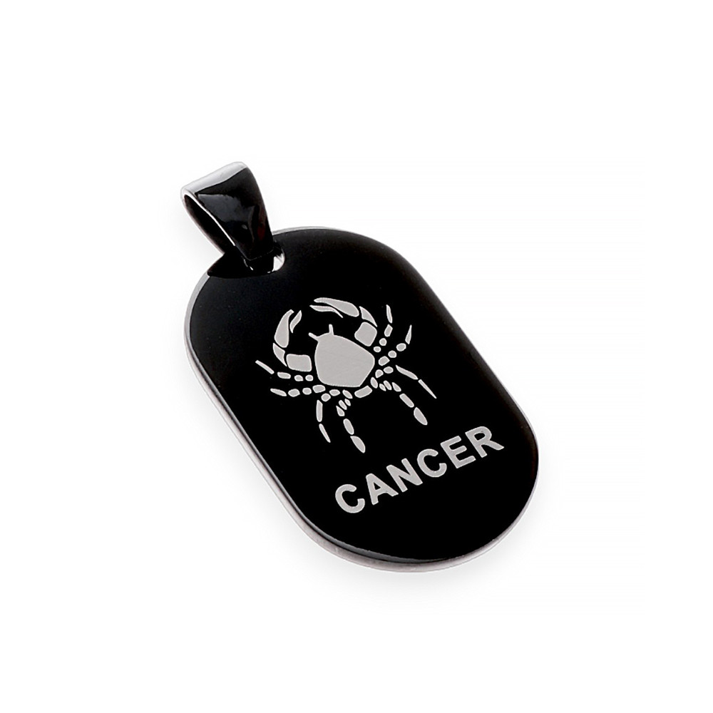 Stainless steel pendant cancer 6630 - black
