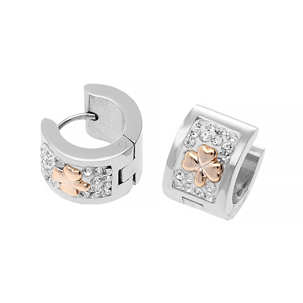 Stainless steel earrings 6951 - silver colour