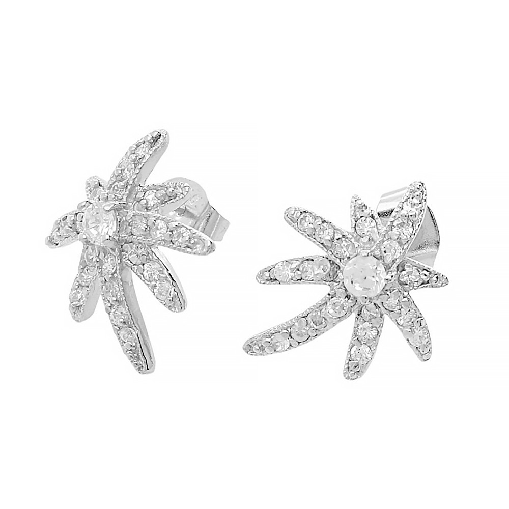 Silver earrings 8241